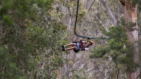 Crazy Rider, Ourimbah State Forest: Australia home .